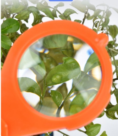 Foldable Keychain Magnifier