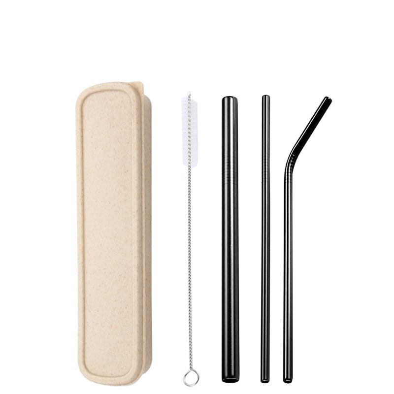 3-Piece Stainless Straw Boxed Set