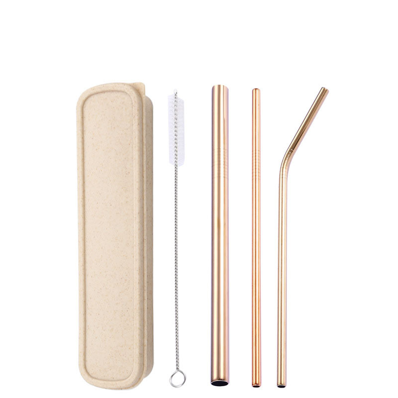 3-Piece Stainless Straw Boxed Set