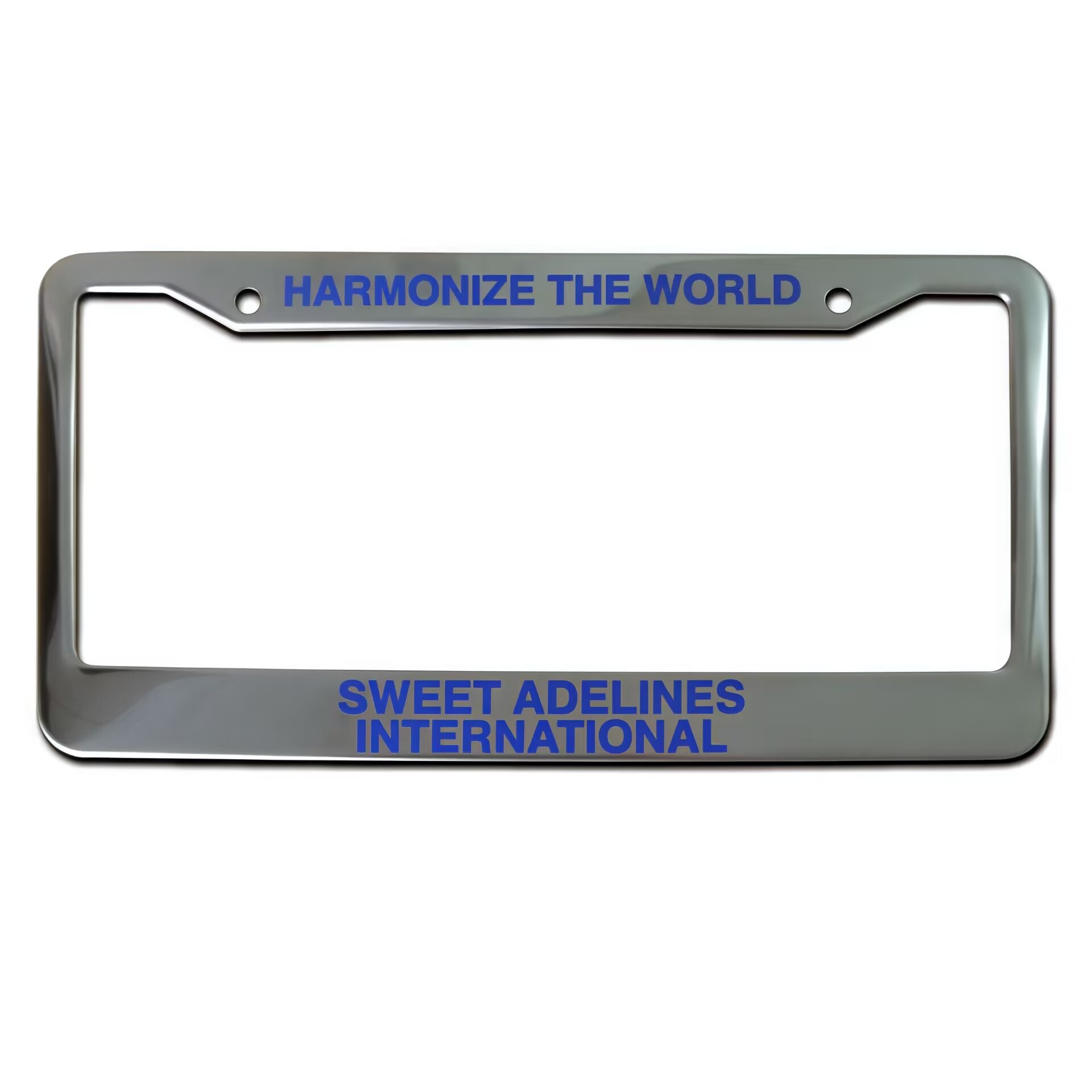 Stainless Steel License Plate Frame