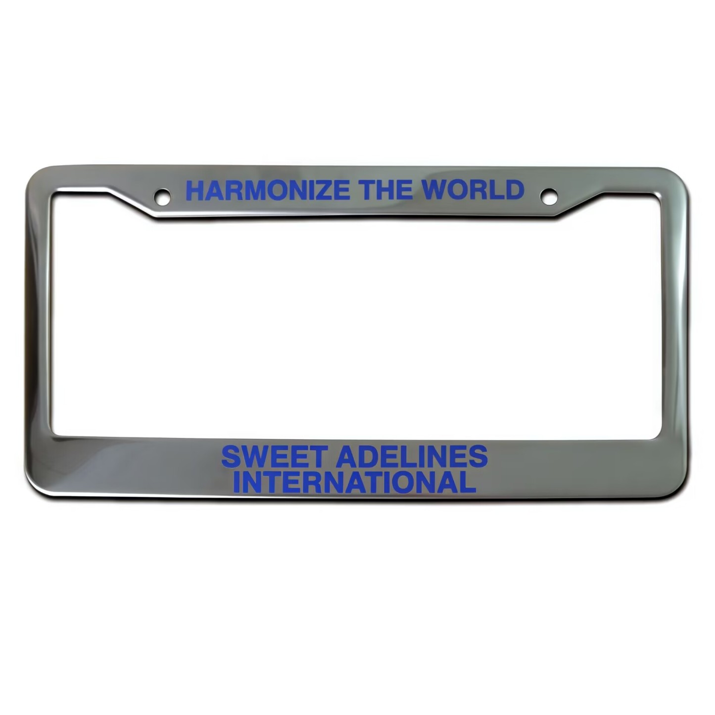 Stainless Steel License Plate Frame