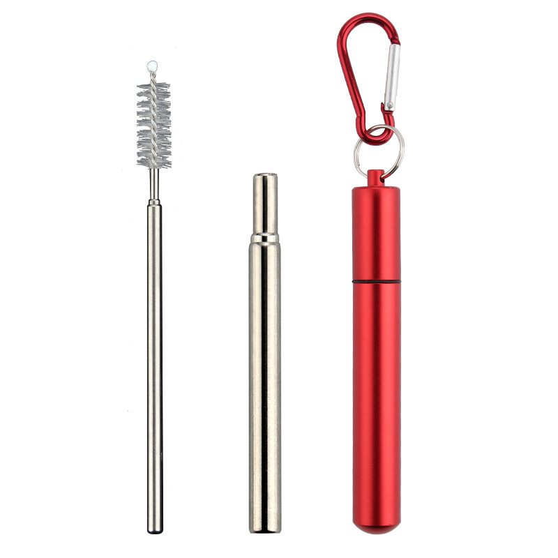 Retractable Stainless Steel Straw Set