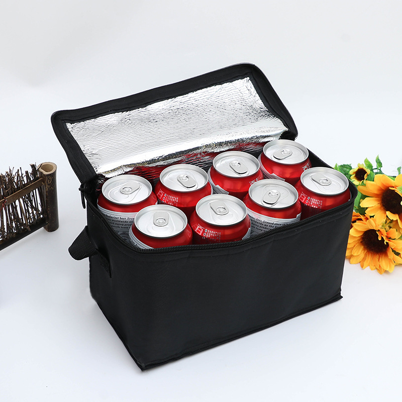 Nonwoven Insulated Cooler Bag