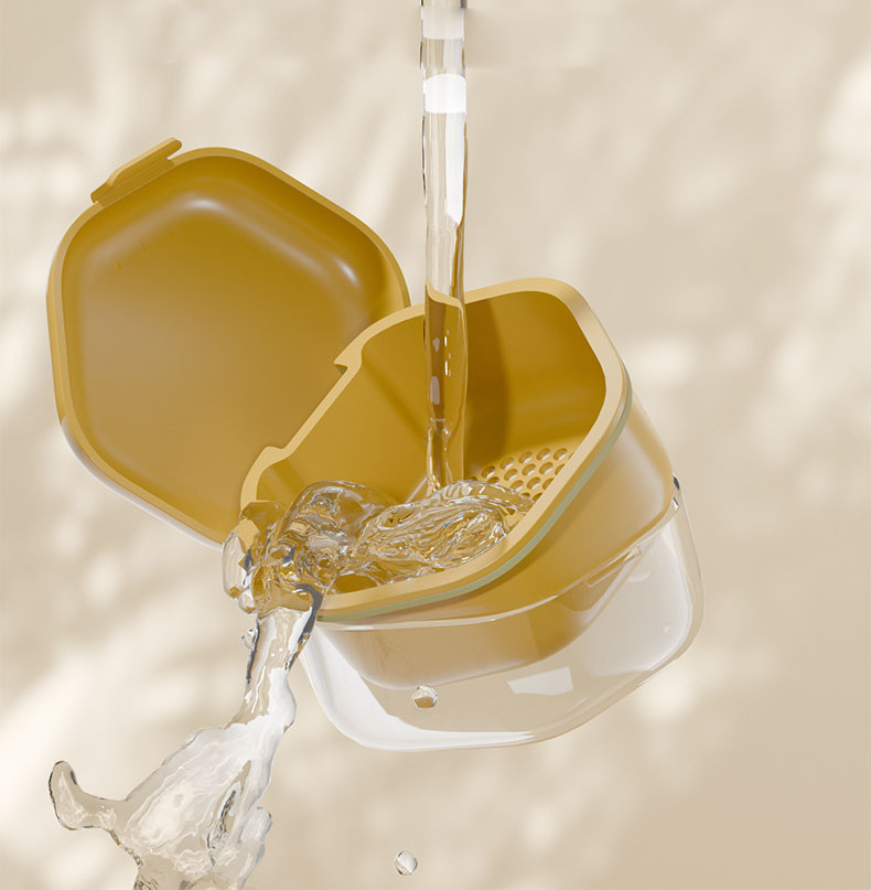 Retainer Cleaning Case
