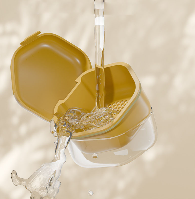 Retainer Cleaning Case