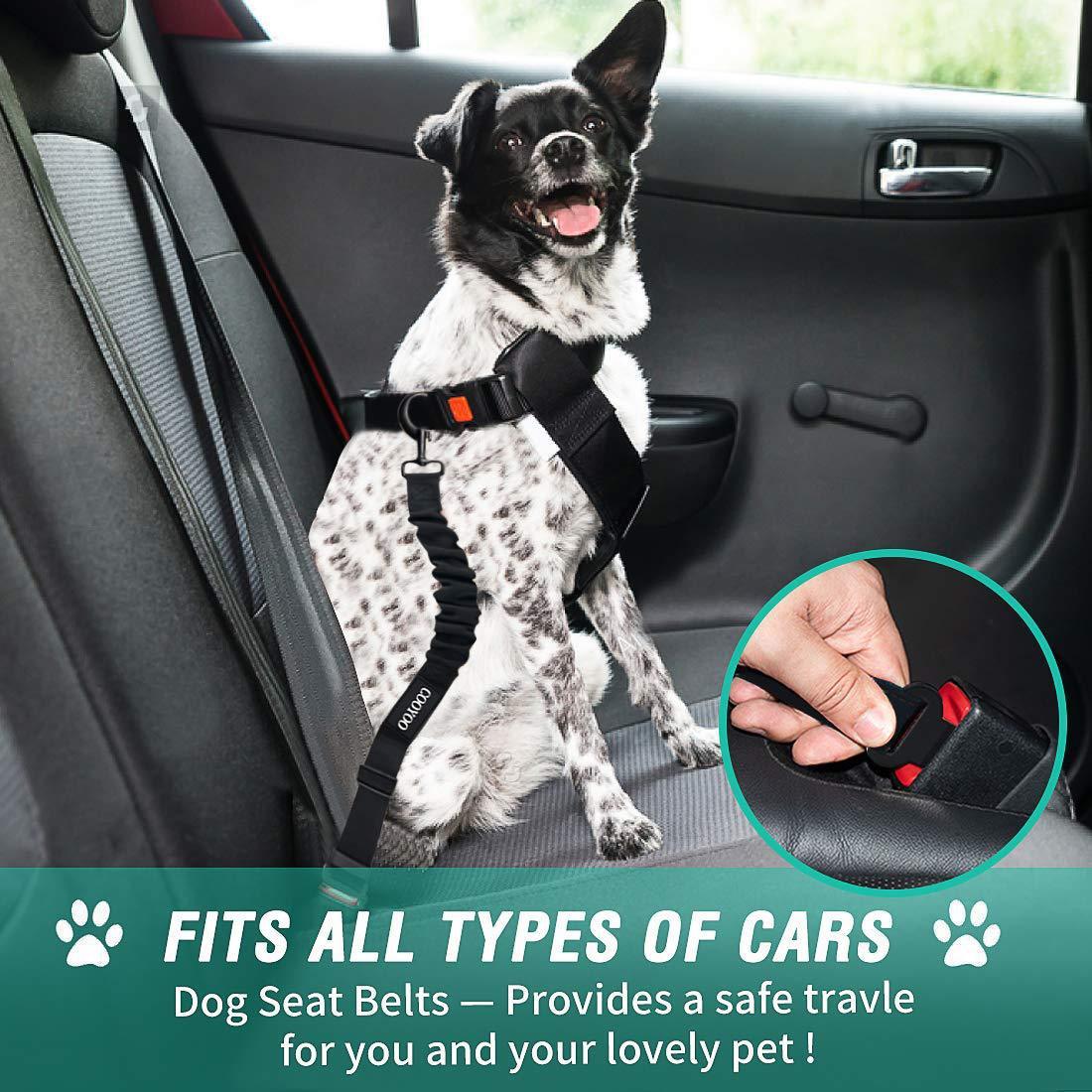 Pet Car Seat Belt