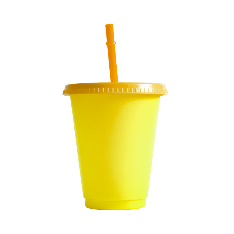 Heat-sensitive Color-changing Straw Cup