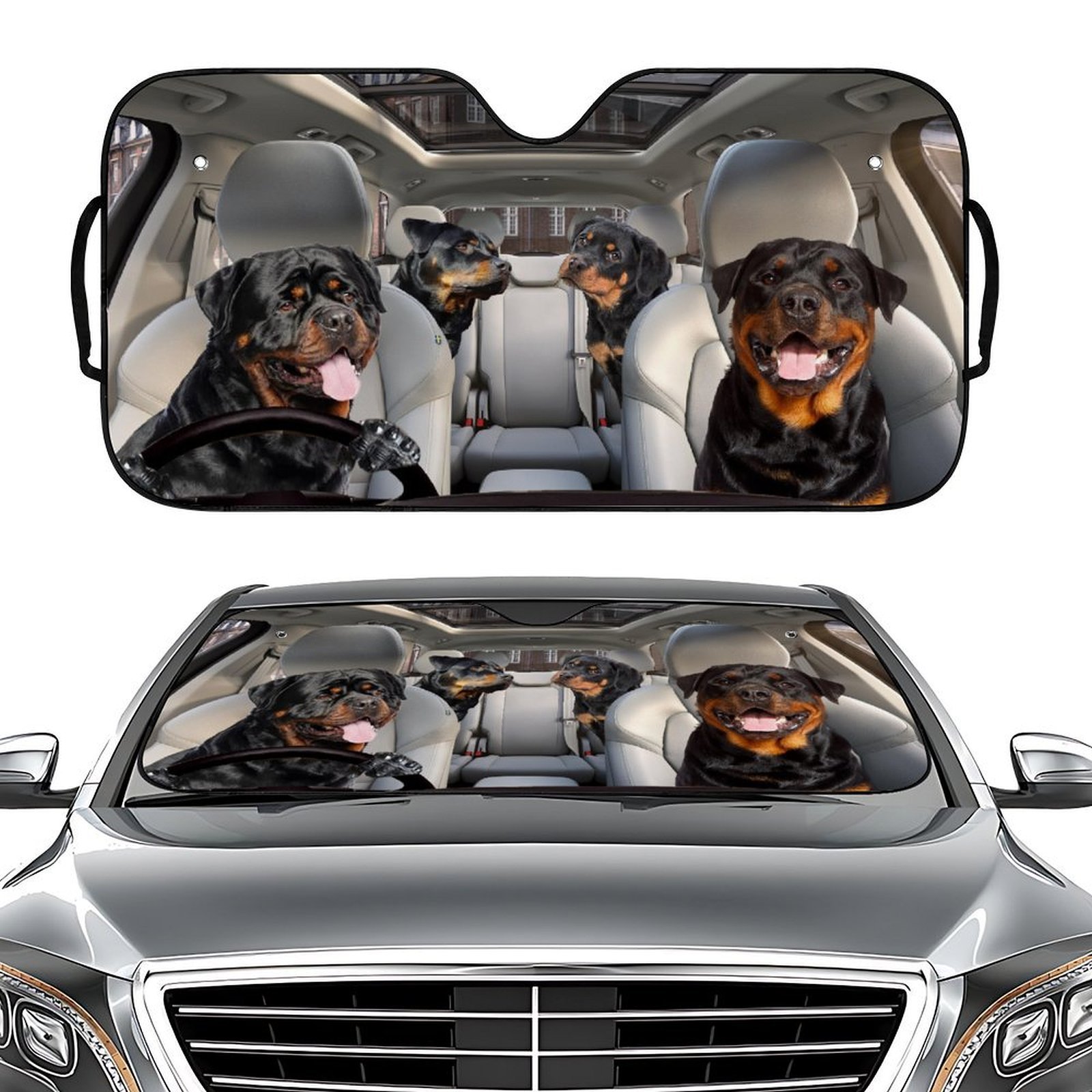 Automobile Sunshade