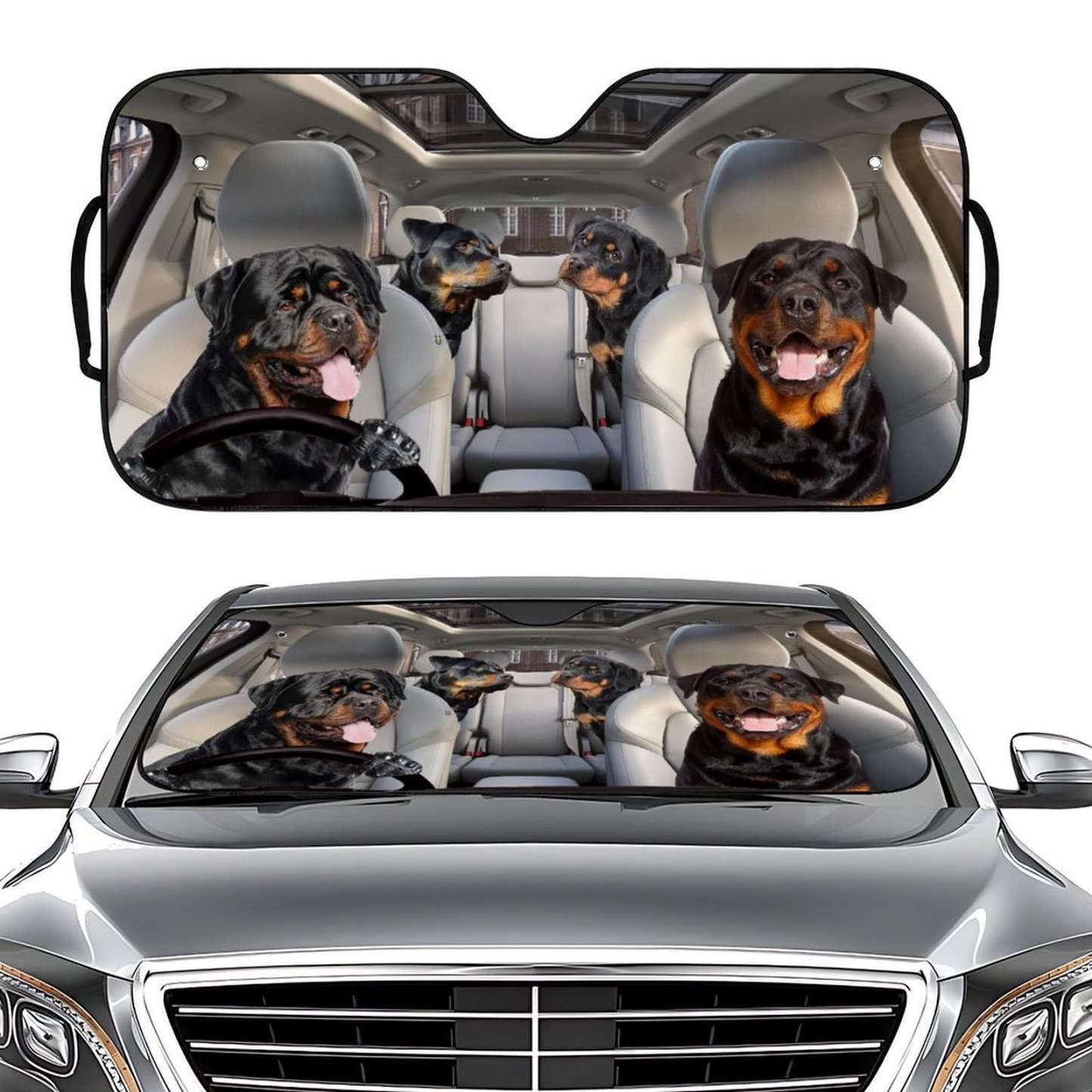 Automobile Sunshade