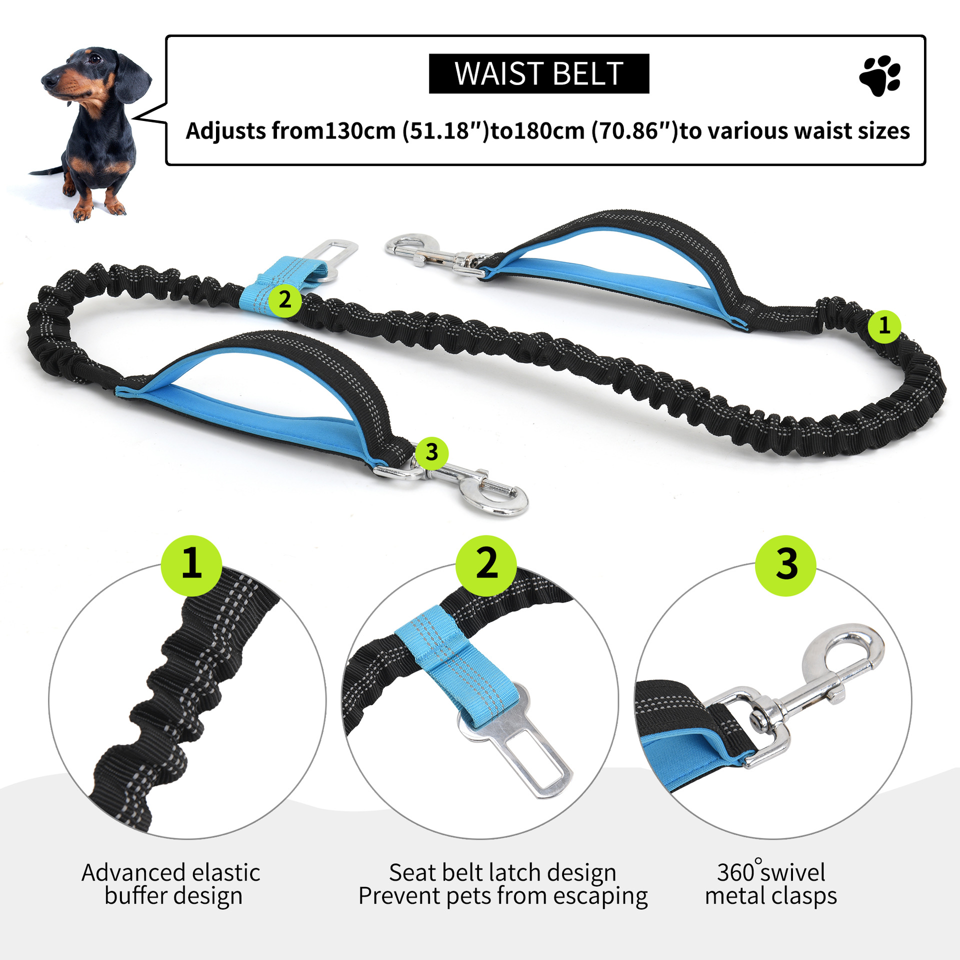 Sports Waist Bag w/Leash