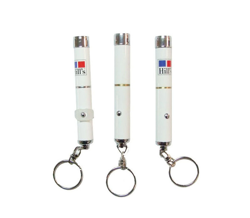 Projection Flashlight