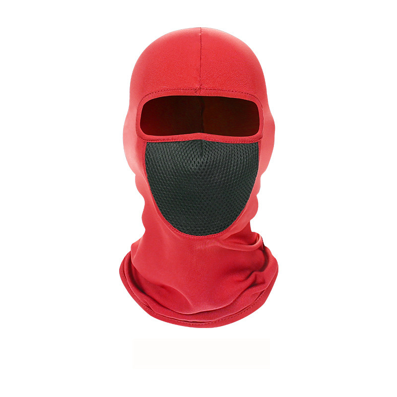 Balaclava Full Face Mask