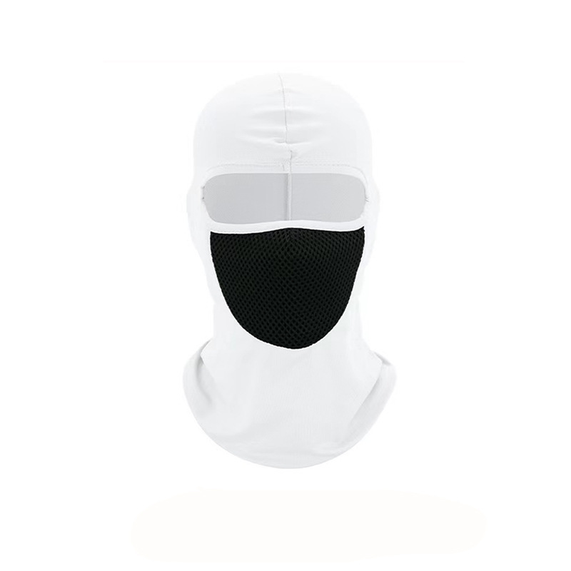 Balaclava Full Face Mask