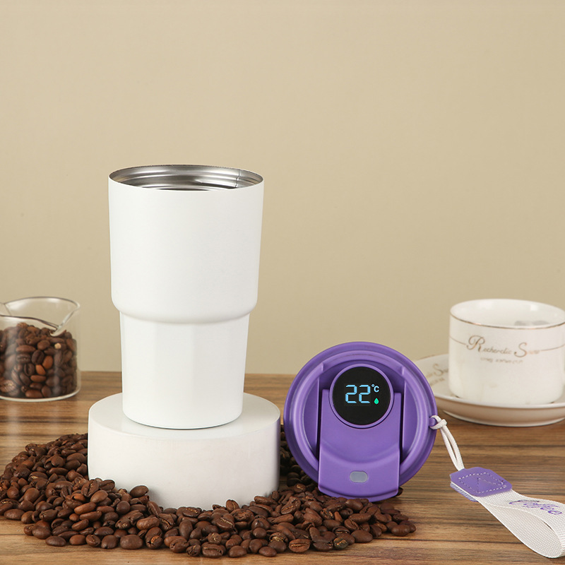 17oz Temperature Display Tumbler