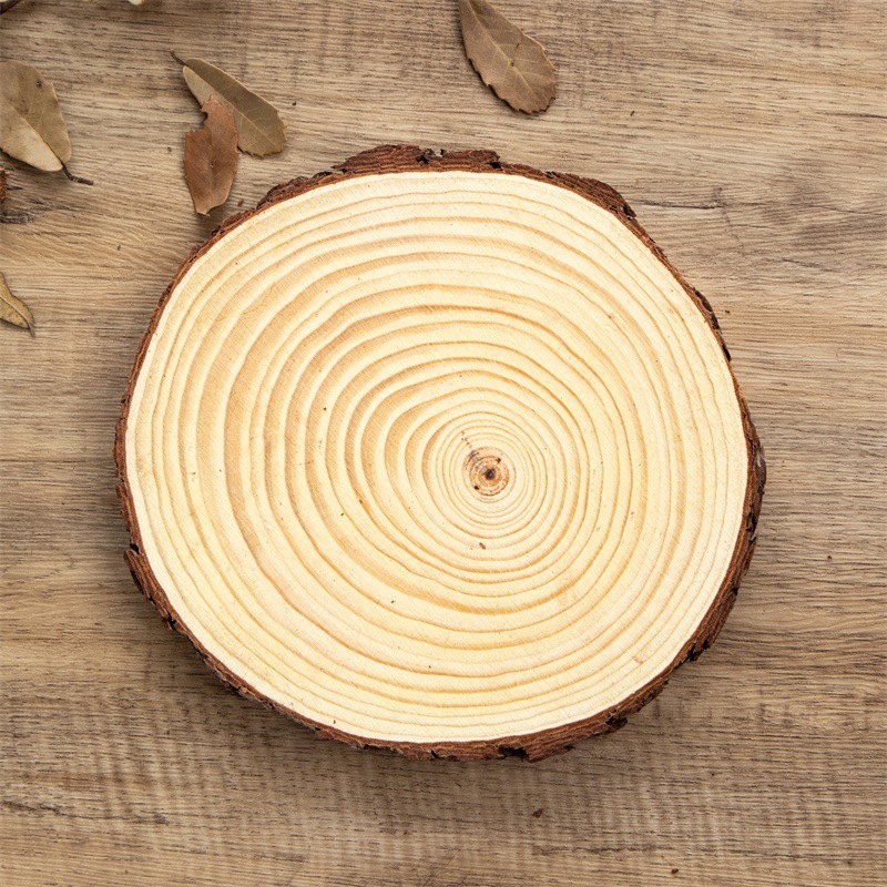4" Polished Natural Wood Slice