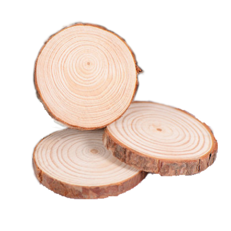 4" Polished Natural Wood Slice