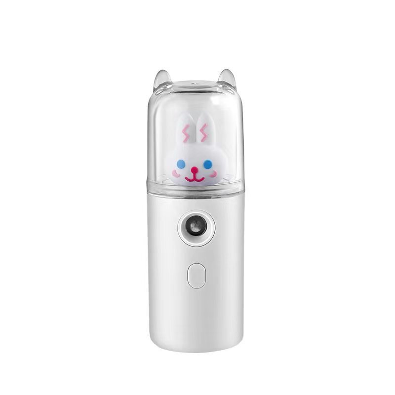 Cute Portable Facial Mist Sprayer