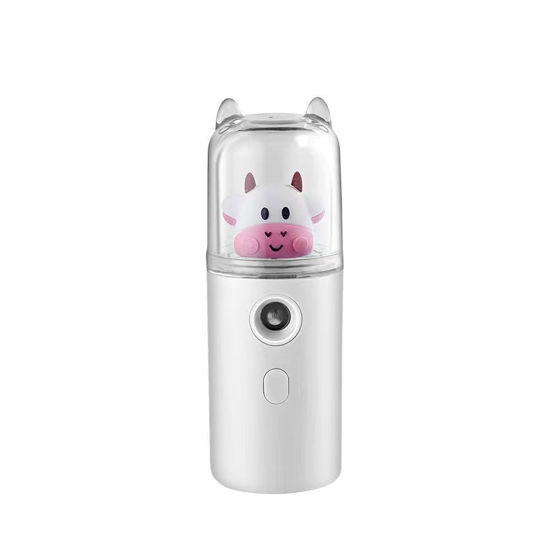 Cute Portable Facial Mist Sprayer