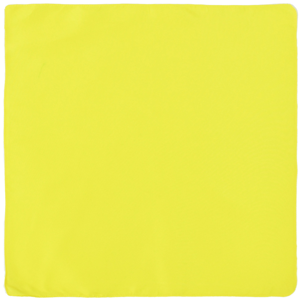 21''x21'' Polyester Bandana