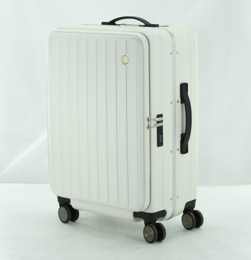 20-Inch Luggage Case