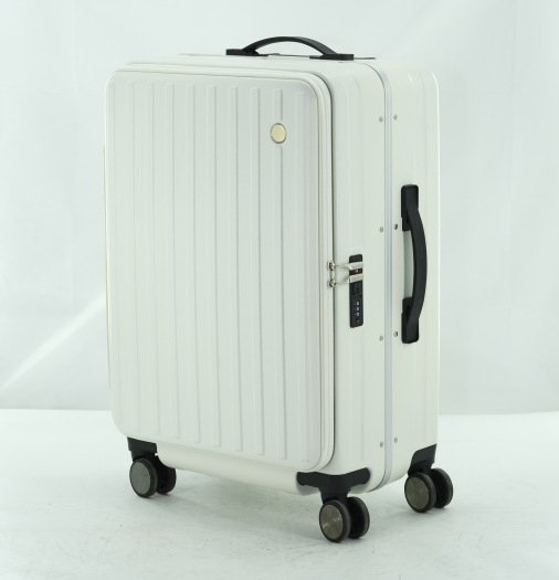 20-Inch Luggage Case