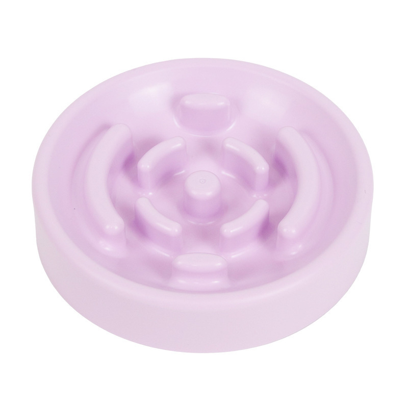 Slow Feeder Pet Bowl