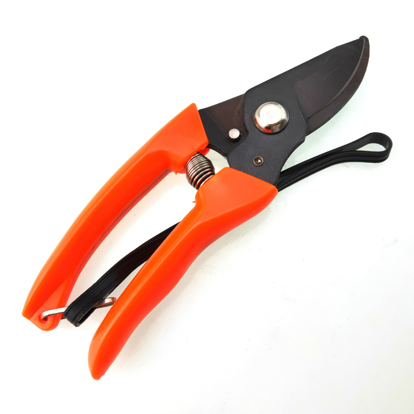Garden Pruning Shears with Lanyard