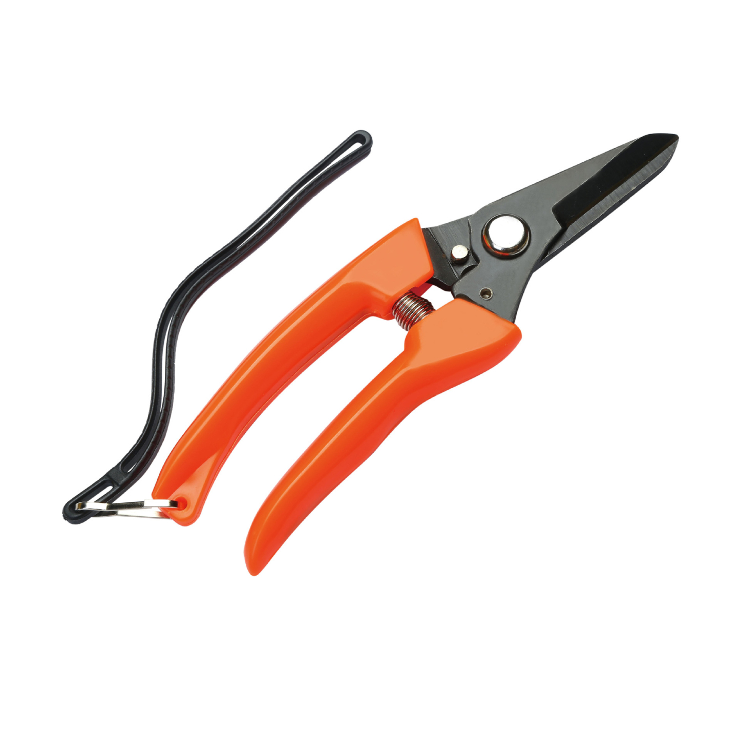 Garden Pruning Shears with Lanyard