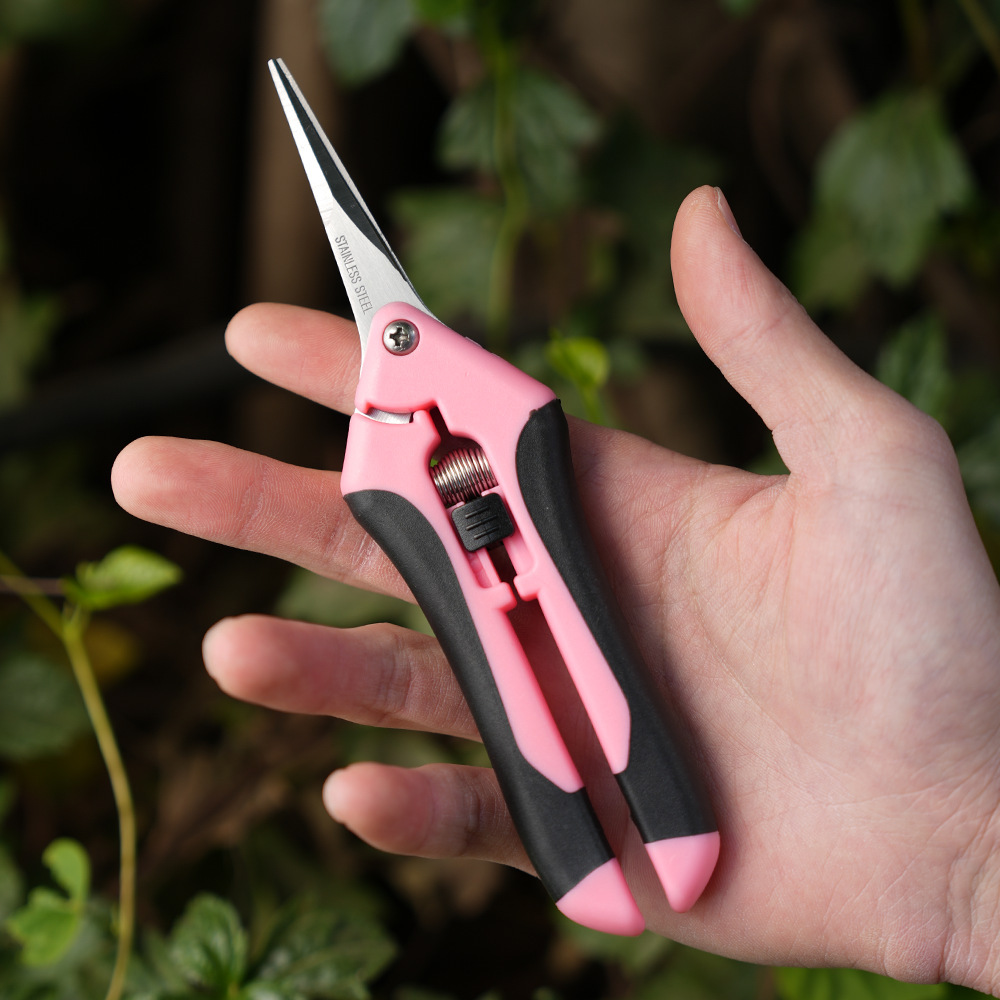 Garden Pruning Shear