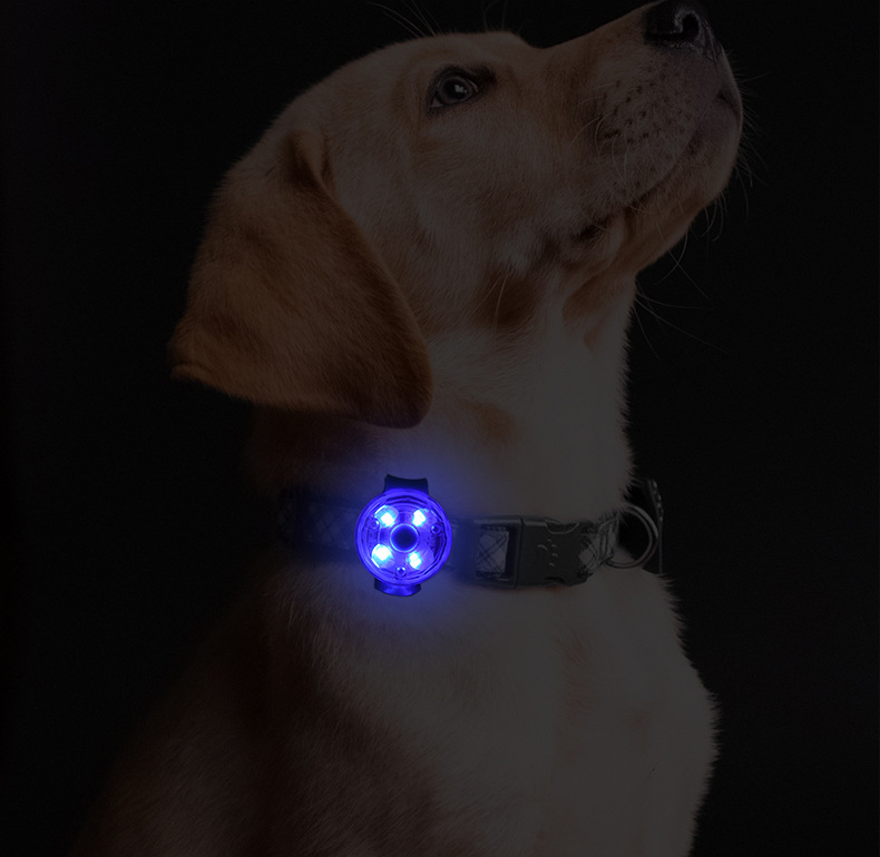 Dog Collar Pendant Light
