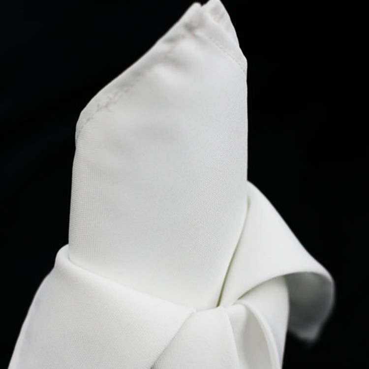 Polyester Napkin