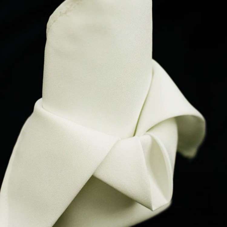 Polyester Napkin