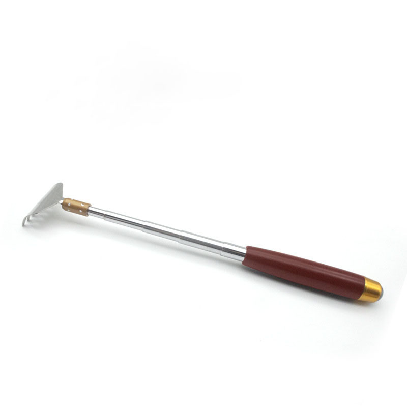 Stainless Steel Telescopic Scratcher