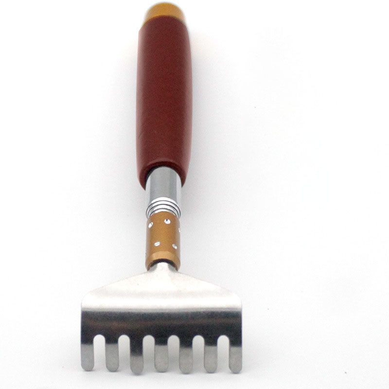 Stainless Steel Telescopic Scratcher