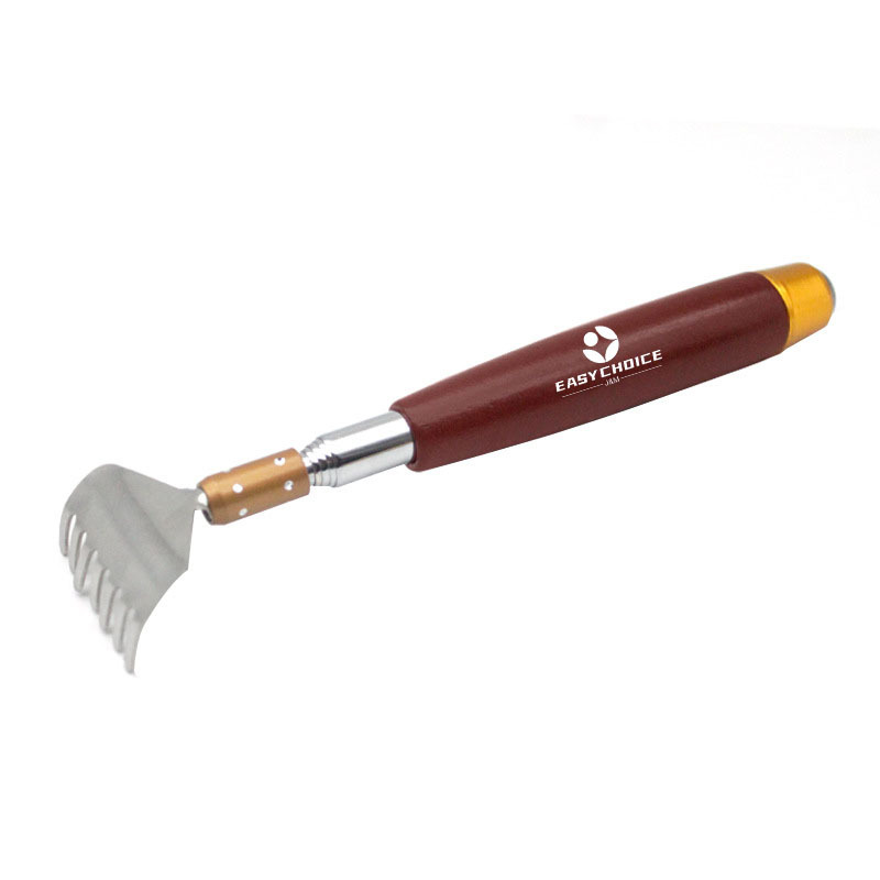 Stainless Steel Telescopic Scratcher