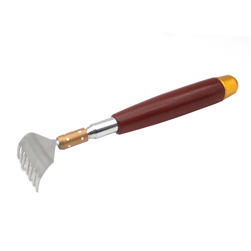 Stainless Steel Telescopic Scratcher