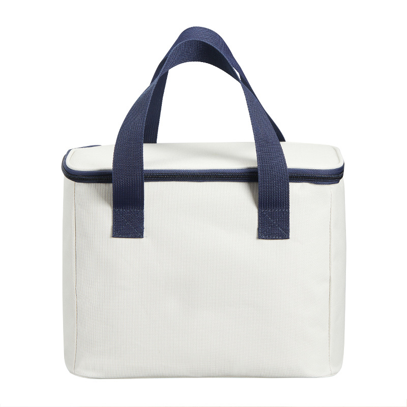 Insulated Lunch Tote Bag