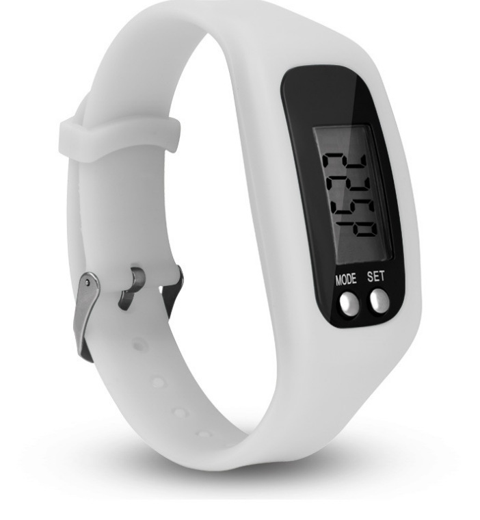 Electronic Pedometer