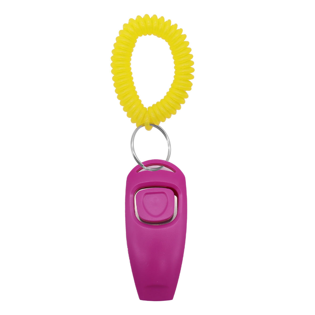 Dog Training Whistle