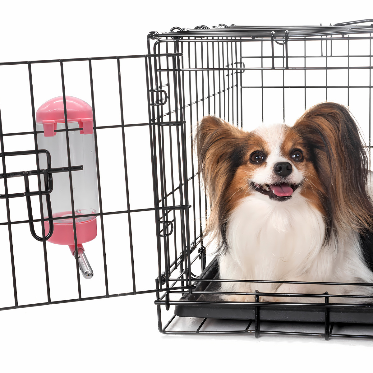 Hanging Pet Water Dispenser