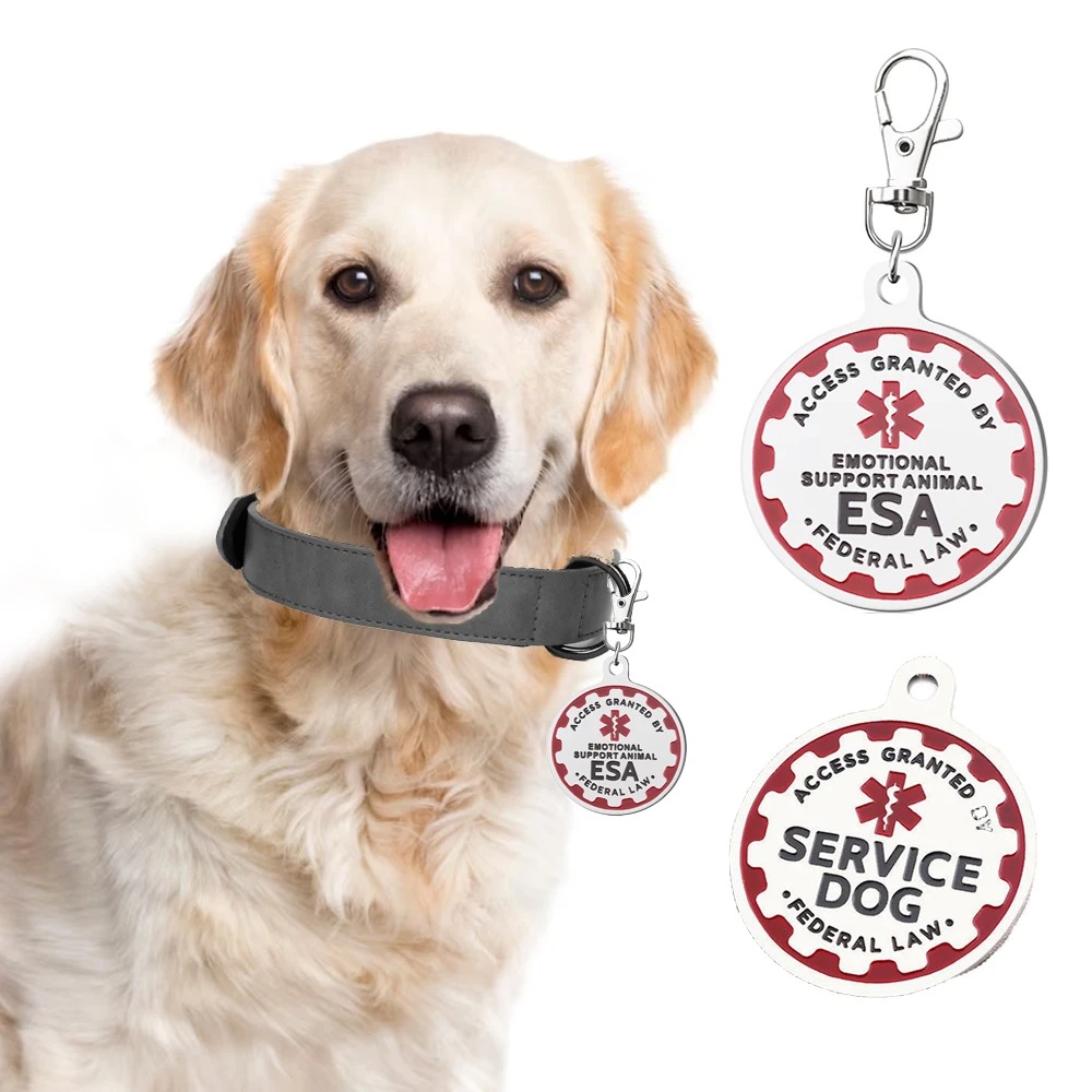 Dog Identification Tag