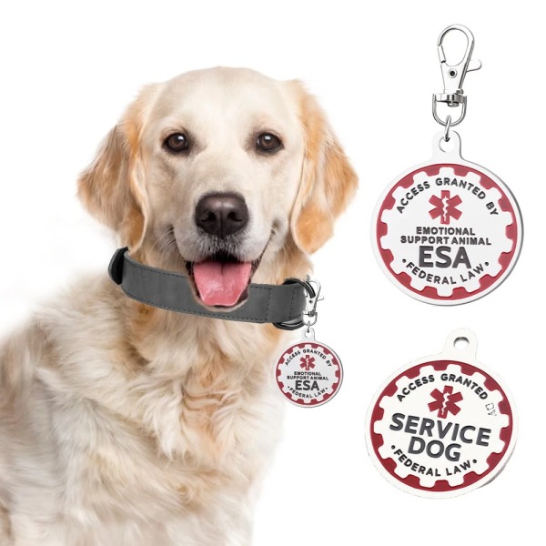 Dog Identification Tag