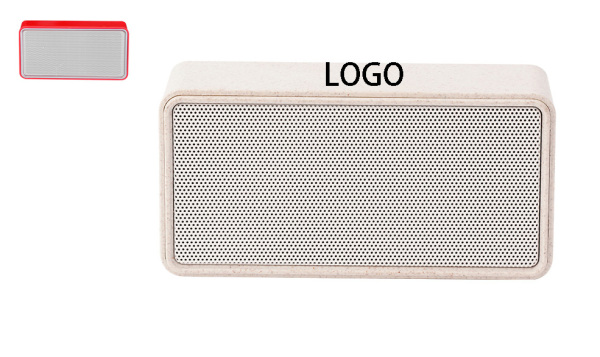 Wireless Mini Speaker with Card Slot