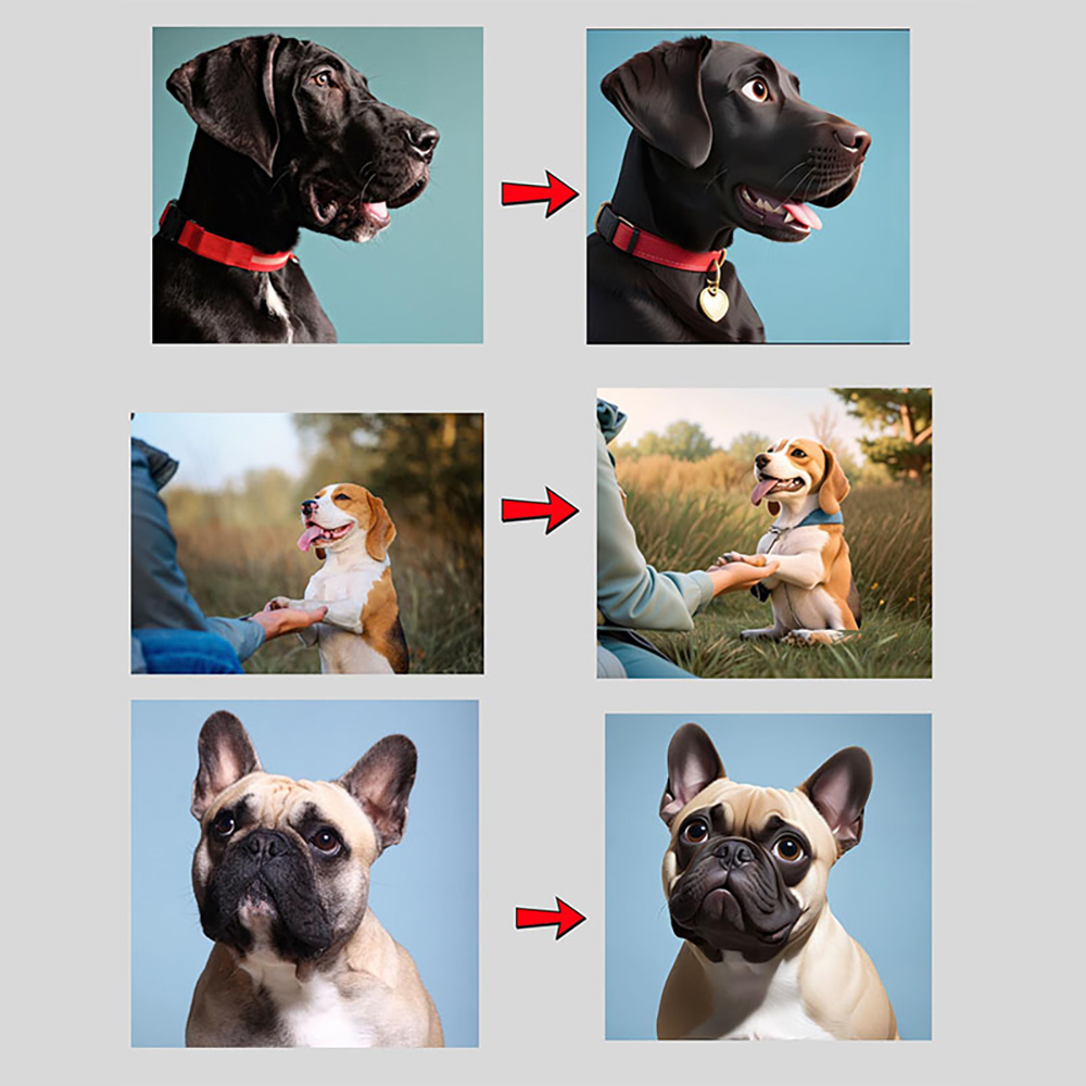 Personalisierte Haustier Cartoon Porträt Lampe Im Pixar Stil Mit Foto Und Gravur