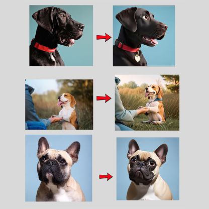 Personalisierte Haustier Cartoon Porträt Lampe Im Pixar Stil Mit Foto Und Gravur