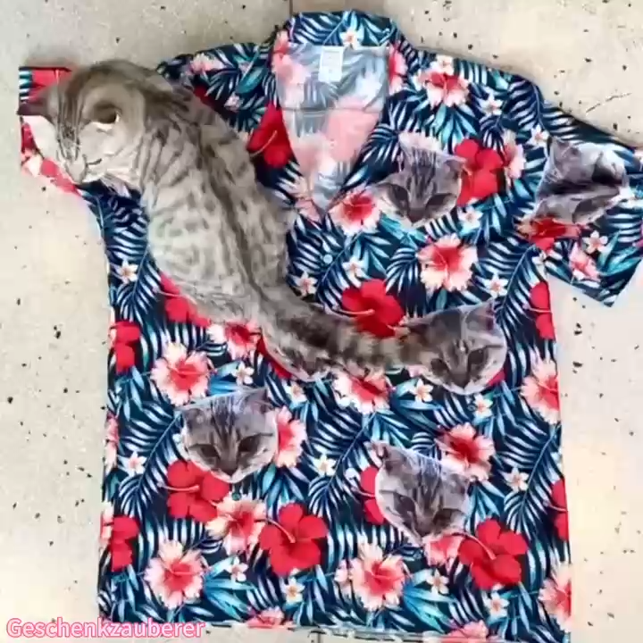Personalisierte Hawaii-Hemd Mit Gesicht Individuelles Shirt Geschenk Für Freund Ehemann