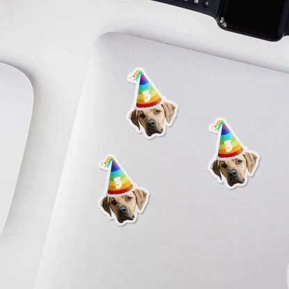 Personalisierte Gesichtssticker für Geburtstagsfeiern Fotoaufkleber Geburtstagsgesichtssticker Individuelle Geburtstagsaufkleber