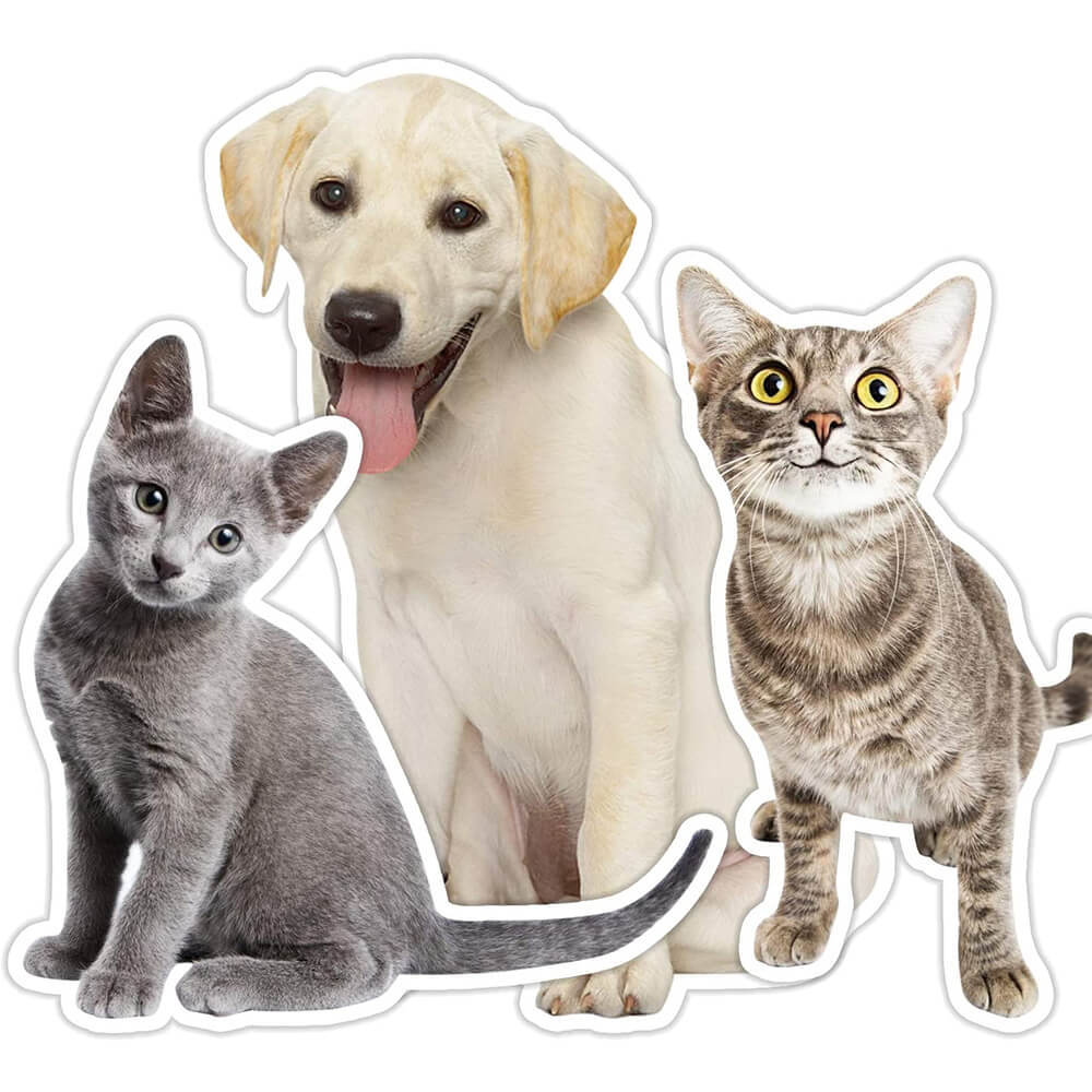 Personalisiertes 3D Haustier Kissen Maßgefertigtes Fotokissen für Hund und Katzenliebhaber