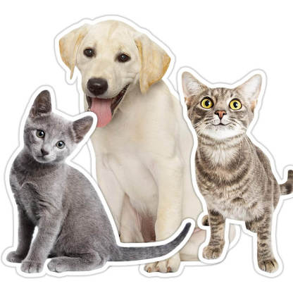 Personalisiertes 3D Haustier Kissen Maßgefertigtes Fotokissen für Hund und Katzenliebhaber