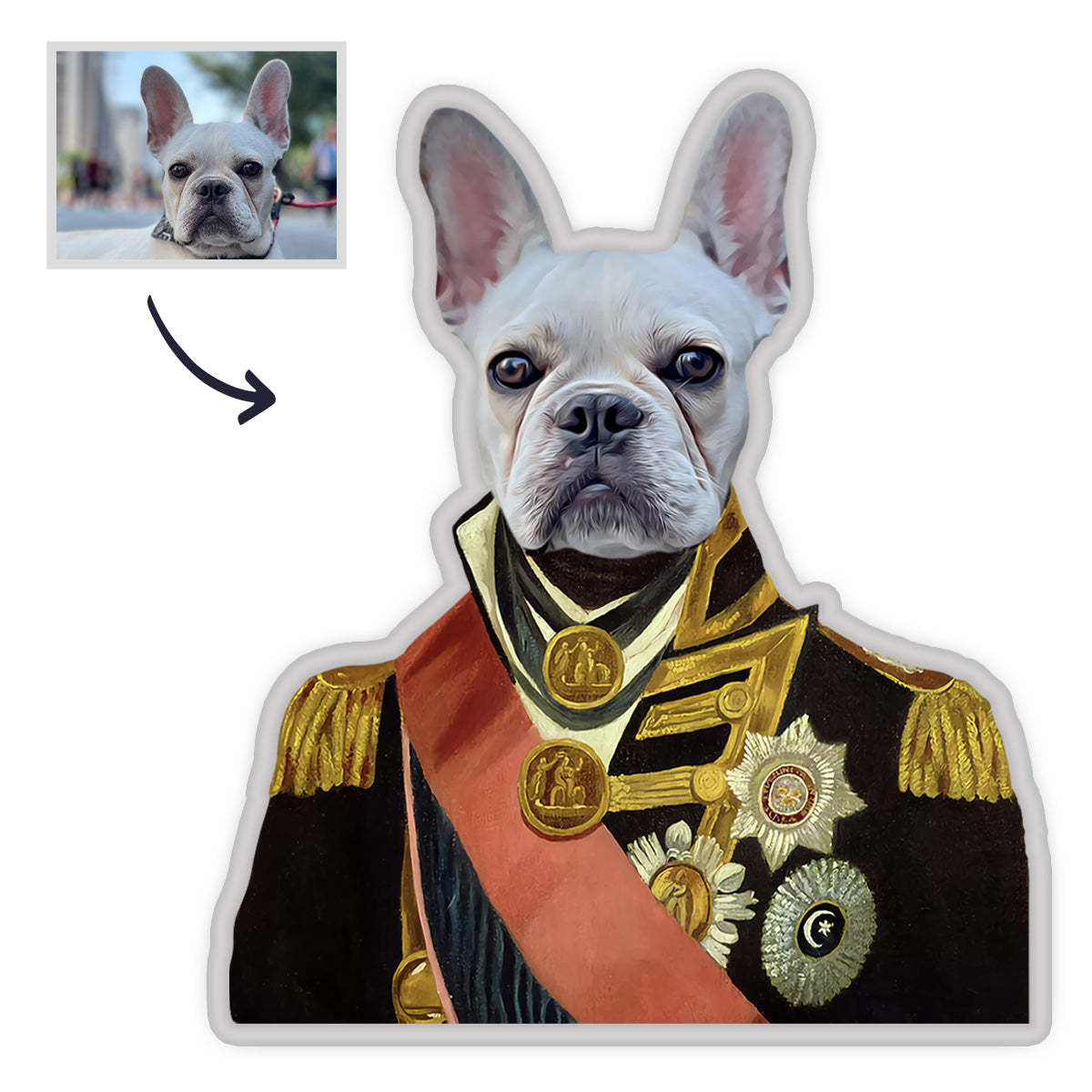 Individuelles Haustier Porträt Kissen Personalisiertes MiniMe Kissen A